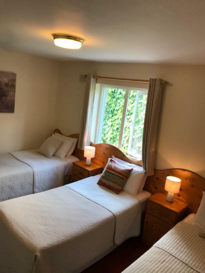 San Antonio Guesthouse Kilkenny Eksteriør bilde